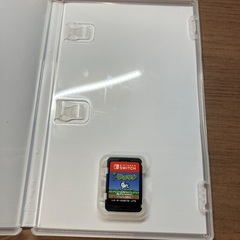 Nintendo Switchテラリア　カセットの画像