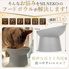 猫　犬　陶器製のペットのお皿の画像