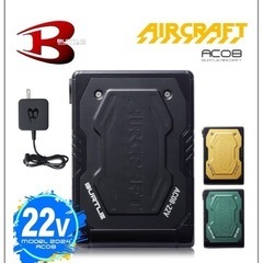 BURTLE Aircraft 2024 Model 22Vの画像