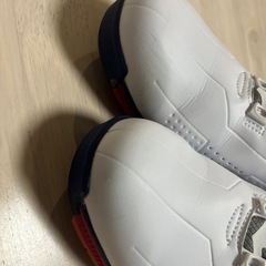 新品未使用ブリヂストンゴルフシューズ(25.0センチ)の画像