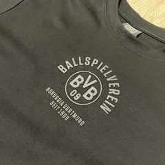 【現地購入品】BVBのTシャツSサイズ
の画像