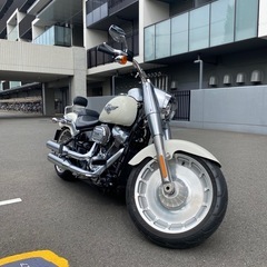 極上美車‼️ ハーレーダビッドソン FLFBS　ファットボーイ2019年式 2500km 白の画像