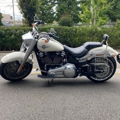 極上美車‼️ ハーレーダビッドソン FLFBS　ファットボーイ2019年式 2500km 白の画像
