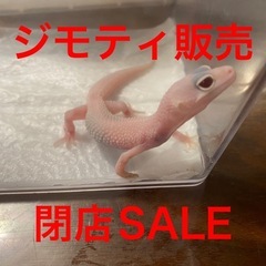 今週終了❗️ジモティ販売終了につきSALE