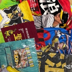 未開封あり！阪神木浪聖也シークレットや限定グッズなど11点の画像