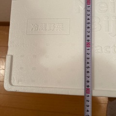 【お話中】発泡スチロール２つの画像