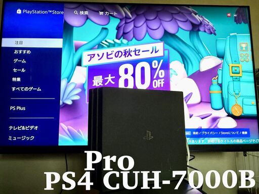 PS4本体 Playstation4 プレステ４Pro プロ本体