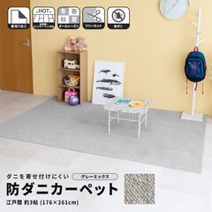 防ダニカーペットを無料で差し上げます！の画像