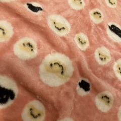 子供　毛布の画像
