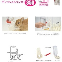 うさぎ　水飲み　容器の画像