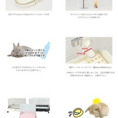 うさぎ　水飲み　容器の画像