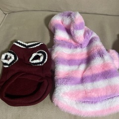 犬　洋服の画像