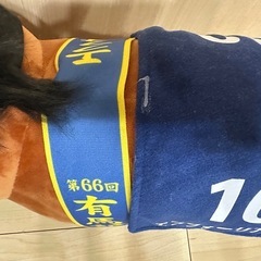 エフフォーリア　ぬいぐるみ
の画像