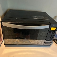 HDD内蔵テレビと電子レンジの画像