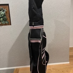 ゴフルバッグ(バッグのみ)の画像