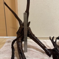 レイアウト用 流木の画像