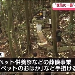 ペット霊園の運営スタッフの画像