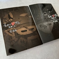先着順❗️ミュージアム 完本 [上] [下] 全巻セットの画像