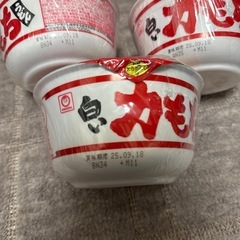 (取引決定)白い力もちうどん　3つセットの画像