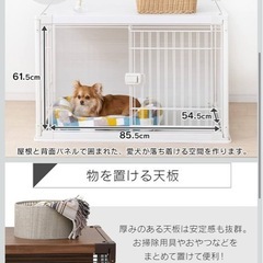 写真確認の画像