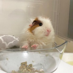 《相談中》