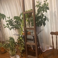 昭和レトロ　木製ハシゴの画像