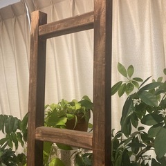 昭和レトロ　木製ハシゴの画像