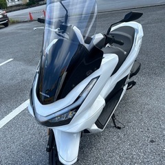 新型pcx 純正ロングスクリーンの画像
