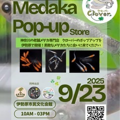 9/23（祝）伊勢原でメダカ植物販売会