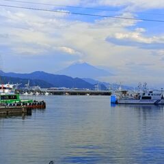 駿河湾フェリー存続の賛否