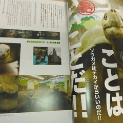 『The Breeder’s Magazine  Herp Life  #002』オールリビングクリーチャーズの画像