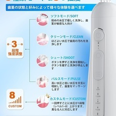 口腔洗浄機 ジェットウォッシャー 5つノズル 水圧調整 300mlタンク 充電式 防水の画像
