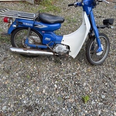 メイト50の画像