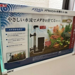 めだかのための水槽の画像