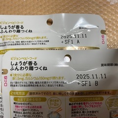 ピジョン 離乳食 ベビーフード 10袋セット新品の画像