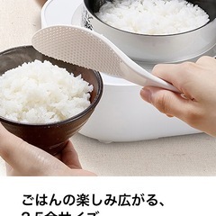 東芝　高級IH炊飯器RC-4ZPJ用　鍛造本羽釜の画像