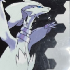 ポケットモンスター ブラック (ニンテンドーDS)の画像