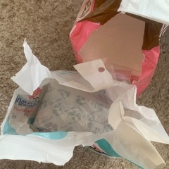 ペット用　オムツ+エチケットパックの画像
