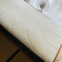 シングルになります。の画像