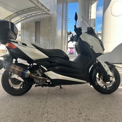 xmax250の画像