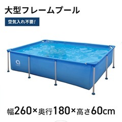 犬用プールの画像