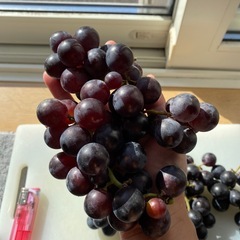 黒ブドウ4〜5房セットの画像