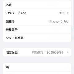 Apple iPhone 16 Pro 256GBの画像