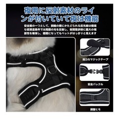 ハーネスの画像