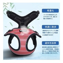 ハーネスの画像
