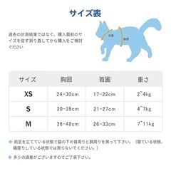 ハーネスの画像