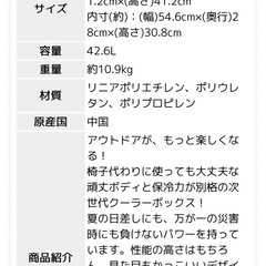 1度のみ使用★美品★大容量クーラーボックスの画像