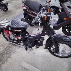 滋賀発
HONDA リトルカブ　50 の画像