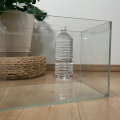 ADAガラス水槽36cmの画像