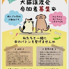 譲渡会に参加しませんか？